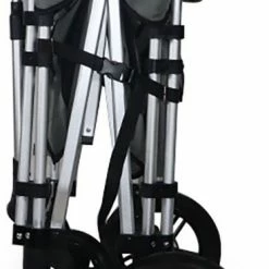 FUXTEC Bolderkar FX-CTXL900 - Grijs - Nu Voor Maximaal 4 Kinderen -Flamecan winkel 368x840 1