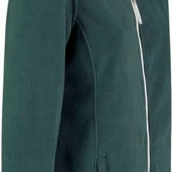 BJØRNSON Jenna Fleece Vest 4 Seizoenen Dames - Rits - Maat 50 - Groen -Flamecan winkel 387x840