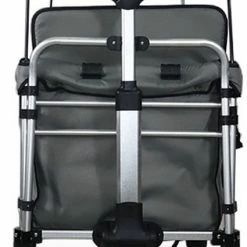 FUXTEC Bolderkar FX-CTXL900 - Grijs - Nu Voor Maximaal 4 Kinderen -Flamecan winkel 425x840 1