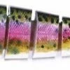 Lureking 8 Delige Regenboogforel - Swimbait - Kunstaas Roofvis - Hengelsport - Vissen 2 Lureking 8 Delige Regenboogforel - Swimbait - Kunstaas Roofvis - Hengelsport - Vissen -Flamecan winkel 550x109