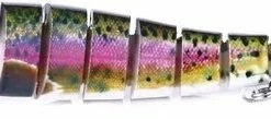 Lureking 8 Delige Regenboogforel - Swimbait - Kunstaas Roofvis - Hengelsport - Vissen