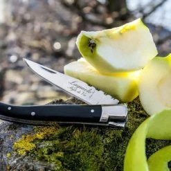 Laguiole Style De Vie Zakmes - In Giftbox - Zwart Ebbenhout 18 Laguiole Style De Vie Zakmes - In Giftbox - Zwart Ebbenhout -Flamecan winkel 550x366 66