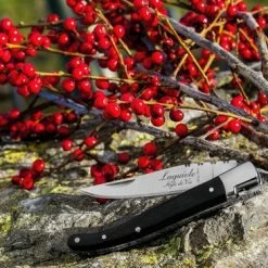 Laguiole Style De Vie Zakmes - In Giftbox - Zwart Ebbenhout 19 Laguiole Style De Vie Zakmes - In Giftbox - Zwart Ebbenhout -Flamecan winkel 550x366 67