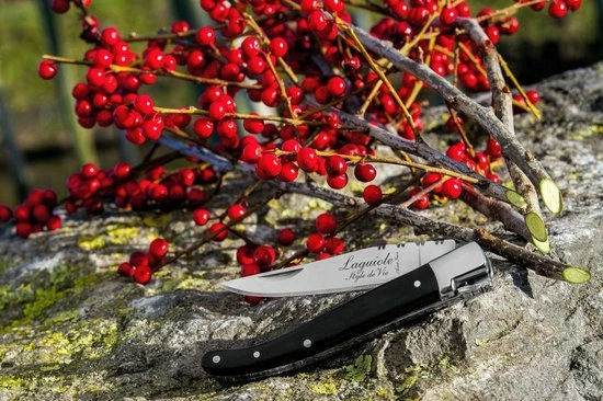 Laguiole Style De Vie Zakmes - In Giftbox - Zwart Ebbenhout 7 Laguiole Style De Vie Zakmes - In Giftbox - Zwart Ebbenhout - Afbeelding 5