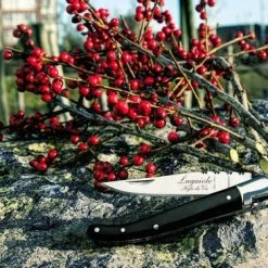 Laguiole Style De Vie Zakmes - In Giftbox - Zwart Ebbenhout 21 Laguiole Style De Vie Zakmes - In Giftbox - Zwart Ebbenhout -Flamecan winkel 550x366 69