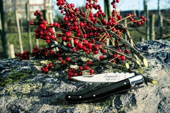 Laguiole Style De Vie Zakmes - In Giftbox - Zwart Ebbenhout 9 Laguiole Style De Vie Zakmes - In Giftbox - Zwart Ebbenhout - Afbeelding 7