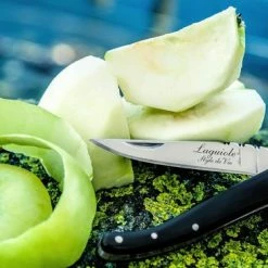 Laguiole Style De Vie Zakmes - In Giftbox - Zwart Ebbenhout 24 Laguiole Style De Vie Zakmes - In Giftbox - Zwart Ebbenhout -Flamecan winkel 550x366 71