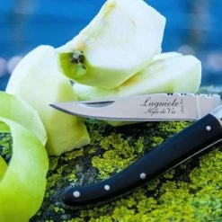 Laguiole Style De Vie Zakmes - In Giftbox - Zwart Ebbenhout 25 Laguiole Style De Vie Zakmes - In Giftbox - Zwart Ebbenhout -Flamecan winkel 550x366 72