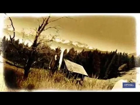 Opinel Outdoor Zakmes - RVS Oranje - 19cm 4 Opinel Outdoor Zakmes - RVS Oranje - 19cm - Afbeelding 2