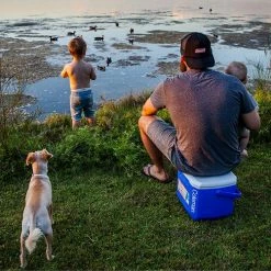 Coleman 16QT Performance Tricolor Koelbox - 15L - Blauw/Grijs -Flamecan winkel 550x501 18