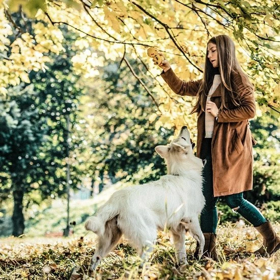 Grisport Sutherland Outdoorlaarzen Unisex - Chestnut - Maat 39 4 Grisport Sutherland Outdoorlaarzen Unisex - Chestnut - Maat 39 - Afbeelding 2