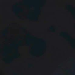 FALKE TK5 Wander Wandelsokken Mid-rise Zacht Thermisch Anti-blaar Antizweet Zonder Motief Met Elastische Boord Warm Admend Merinowol Zwart Dames Sportsokken - Maat 37-38 42 FALKE TK5 Wander Wandelsokken Mid-rise Zacht Thermisch Anti-blaar Antizweet Zonder Motief Met Elastische Boord Warm Admend Merinowol Zwart Dames Sportsokken - Maat 37-38 -Flamecan winkel 550x550 210