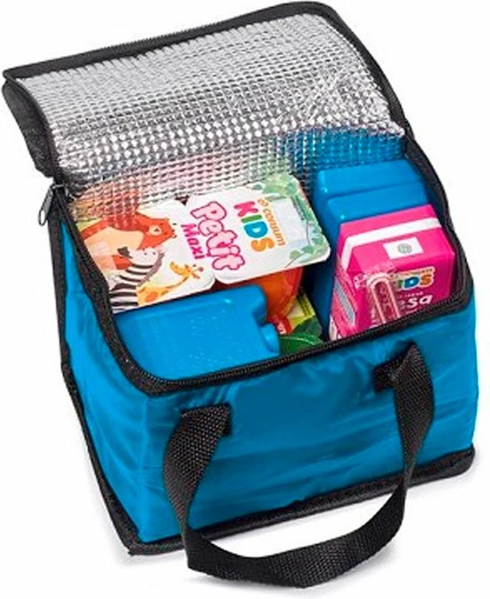 Forte Plastics Voordeelset Van 4x Stuks Kleine Koelelementen 7 X 8 Cm In Het Blauw Plastic 4 Forte Plastics Voordeelset Van 4x Stuks Kleine Koelelementen 7 X 8 Cm In Het Blauw Plastic - Afbeelding 2