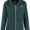 BJØRNSON Jenna Fleece Vest 4 Seizoenen Dames - Rits - Maat 50 - Groen -Flamecan winkel 550x715