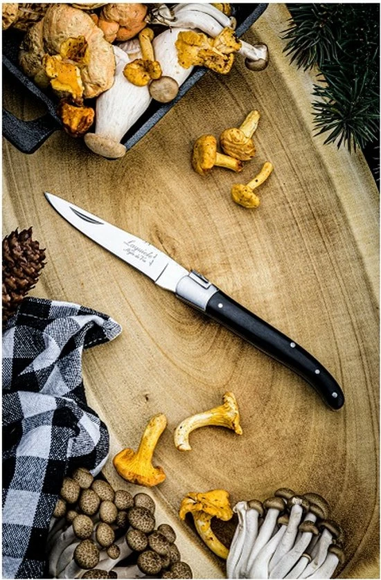 Laguiole Style De Vie Zakmes - In Giftbox - Zwart Ebbenhout 15 Laguiole Style De Vie Zakmes - In Giftbox - Zwart Ebbenhout - Afbeelding 13